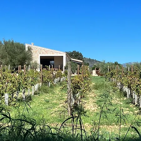 Dos Caballeros Winery & Vacation Chalet