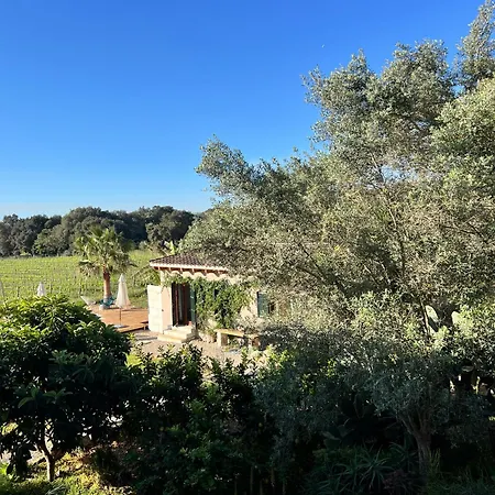 Dos Caballeros Winery & Vacation * Llubi